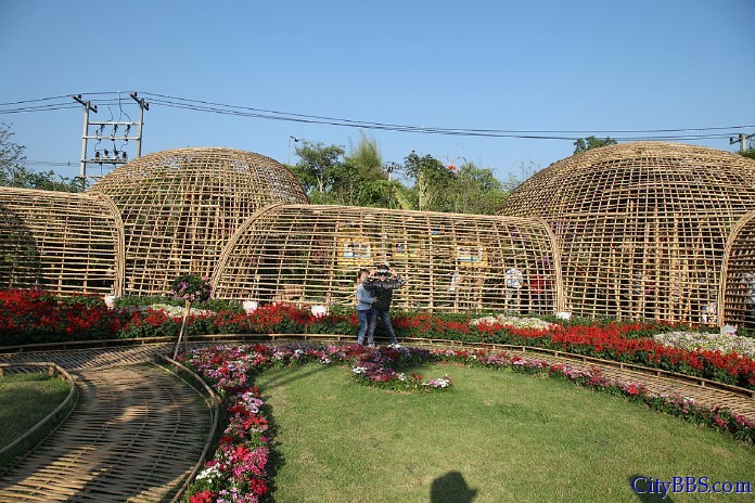 ChiangMai_Royal_Flower_Flora