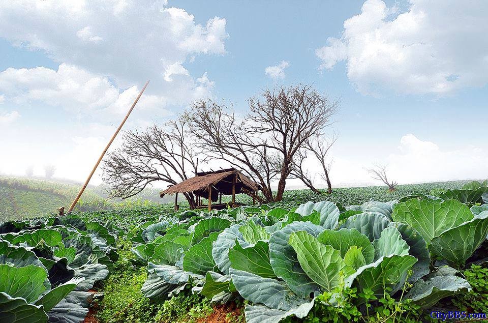 清迈旅游风情_Chiang Mai Travel