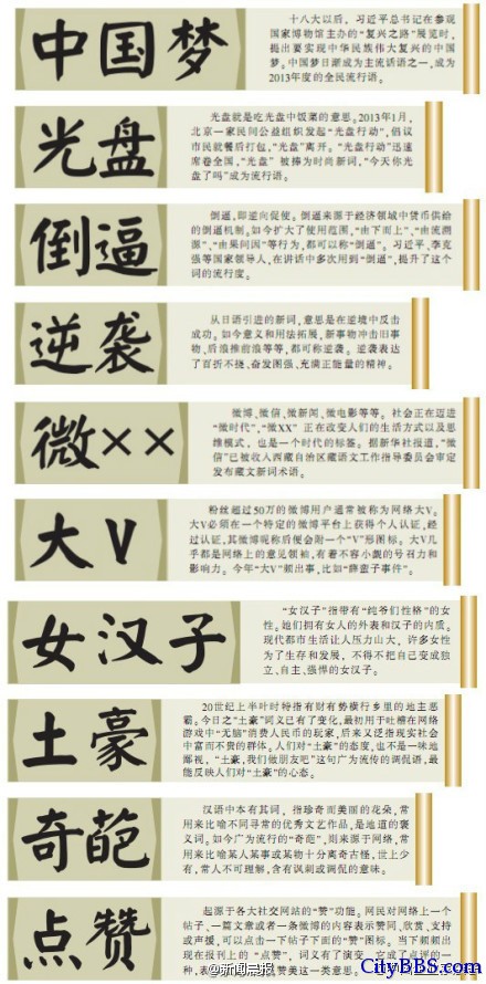 2013年十大流行词