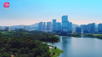 龙岗区5.gif
