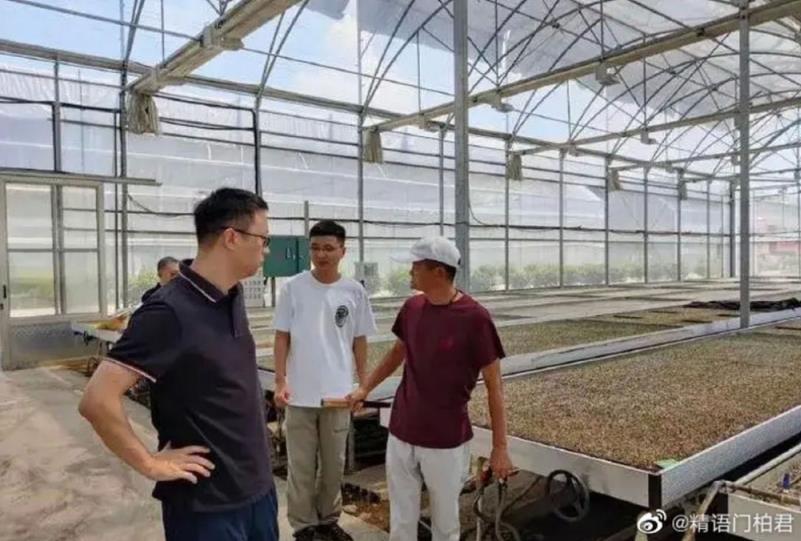 马云低调现身考察农棚为共同富裕或打农业战