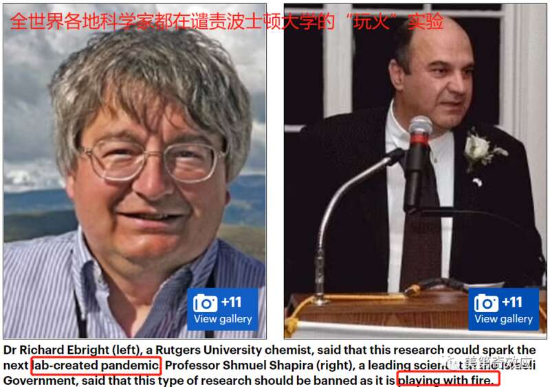 波士顿大学这项实验，受到了全世界的谴责。